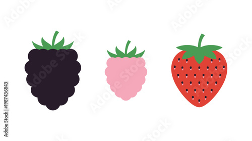Stylized Flat Design Berry Icons Dark Blackberry Pink Raspberry and Red Strawberry.
