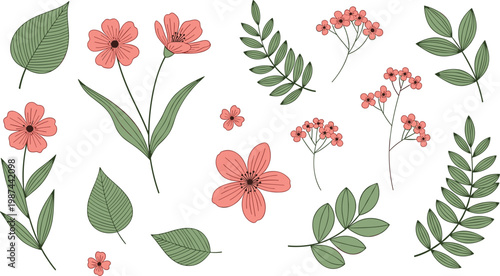 Set of hand drawn pink wildflowers and green leaves vector illustration for spring botanical garden designs.