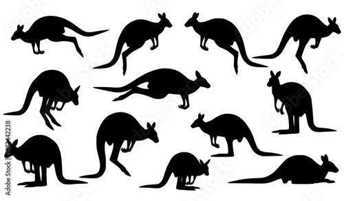 Dynamic kangaroo silhouette collection with jumping running and resting poses isolated on white