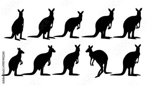 Kangaroo silhouettes set with male female and varied poses wildlife vector isolated on white background
