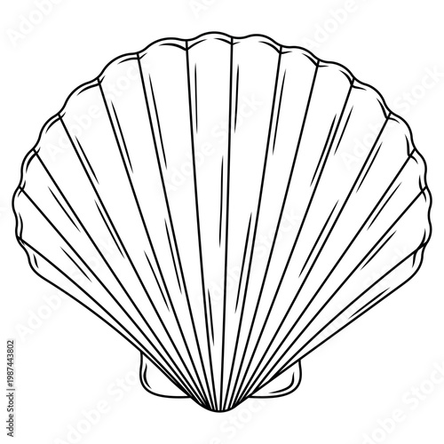 Seashell.Coloring book antistress for children and adults.Simple outline drawing.