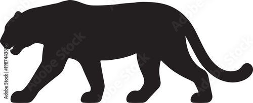 The Power and Mystery of the Jaguar