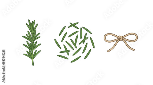 Hand drawn illustration of rosemary sprig and needle leaves with decorative bow.