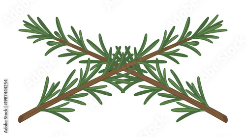 Illustration of two fresh rosemary sprigs crossed on a white background.