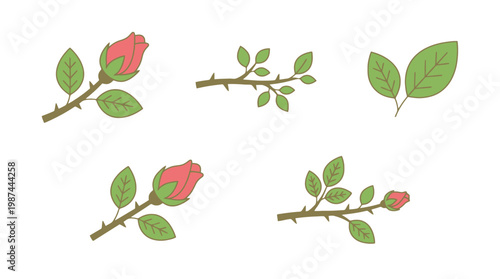 Hand drawn collection of pink rose buds and green leaf elements in vintage style.