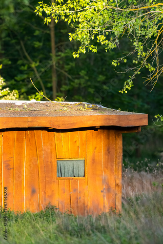 Wooden hut with green roof and small window
