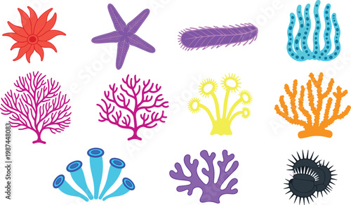 Colorful Pencilfish Collection with Various Exotic Freshwater Species Isolated on White