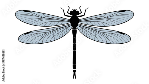 A detailed illustration of a black and blue dragonfly with delicate translucent wings