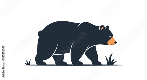 Majestic Black Bear Walking Gracefully Across the Landscape.