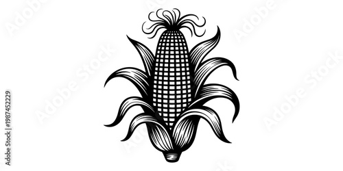 A highly detailed black and white line art illustration featuring a single ripe ear of corn. Vector, illustration