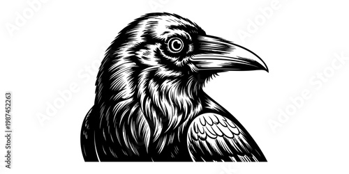 A detailed black and white illustration of a raven head facing right on a clean white background Vector, illustration
