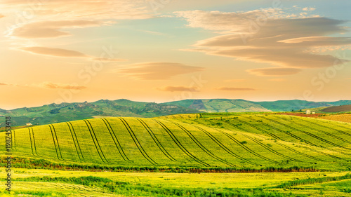 amazing golden summer landscape of beautiful golden wheaten field with scenic farmland view to picturesque hills and colorful sunset cloudy sky on background