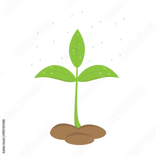 Raindrops fall on a green, fresh sprout in the soil. Nature concept. Vector illustration.