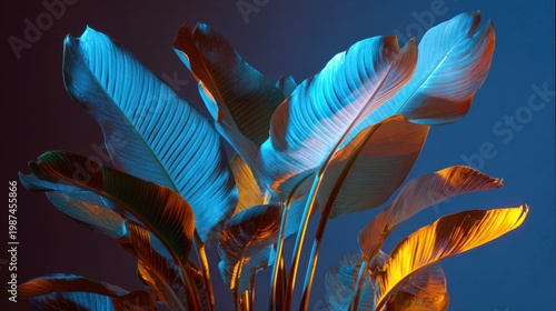 indoor strelitzia plant with large leaves and a single flower, dark room, artificial lighting only, bright blue light clearly from the left
