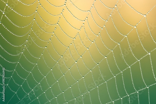 Close-Up of Delicate Spider Web Covered in Morning Dew Water Droplets Against Soft Green Yellow Gradient Background, Nature Abstract Macro
