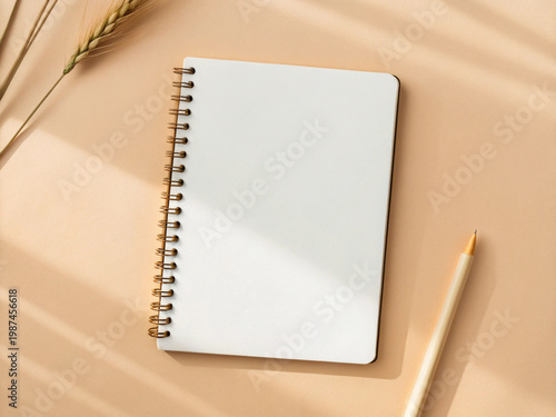 A blank notepad with a pencil and a succulent plant on a vibrant orange surface