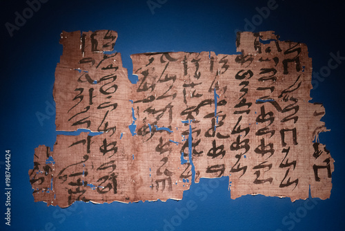 Argentine museum. Egyptian papyrus was the main writing material of ancient Egypt, made from the Cyperus papyrus plant that grew on the banks of the Nile. It was used from the 4th millennium BC.