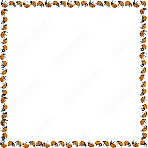 Frame with ladybugs. The concept of summer and spring.