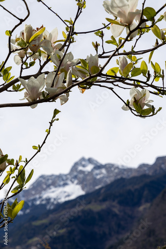 Südtirol, Alto Adiga, South Tyrol