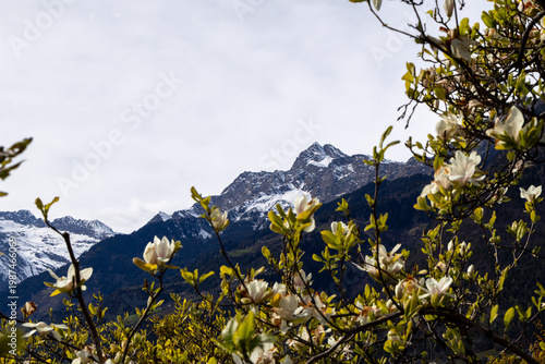Südtirol, Alto Adiga, South Tyrol