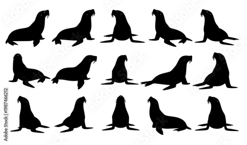 Sea Lion Silhouette Set Marine Animal Action Vector Collection