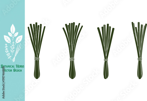 Vector set of chives onion sticks for garnish. Silhouette set of green chive bundles for kitchen. Botanical herbs illustration design, savory vegetable herb sprigs.