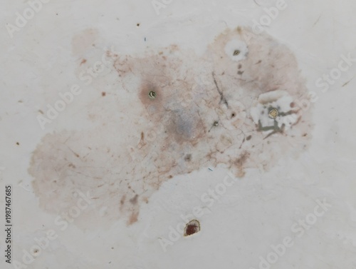 Textura de piso cerâmico com mancha de infiltração 02