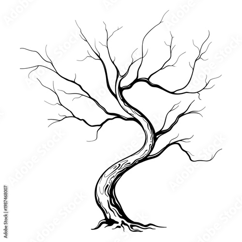 Elegant leafless tree silhouette with fine branches. Isolated vector illustration on white background.