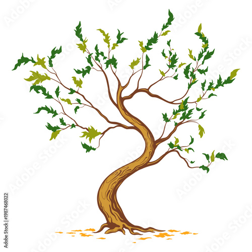 Vector tree with curved trunk and sparse leaves.