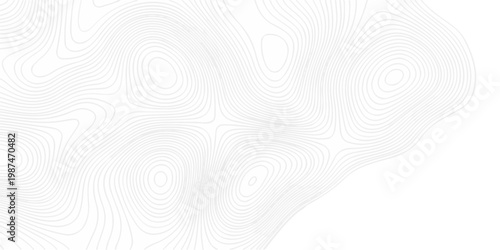 minimal paper area the pattern discovery topography map. topo map creative white wave grid stripe line map topography. vector geographic contour mounted map background.