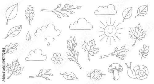 A serene natural scene with various leaves, flowers, and a snail under sunny and cloudy weather conditions.