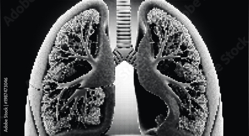 Medical illustration of human lungs in a stylized graphic representing a healthy respiratory system for science.