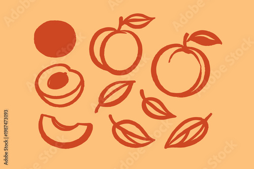 Hand drawn peach icon set vector illustration with whole fruit, half slice and leaves in warm outline style