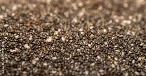 poppy seed background