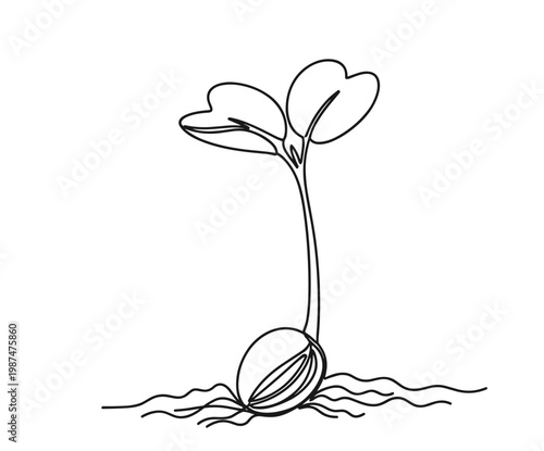 Sprouting seed with roots and leaves, single line drawing of plant growth.