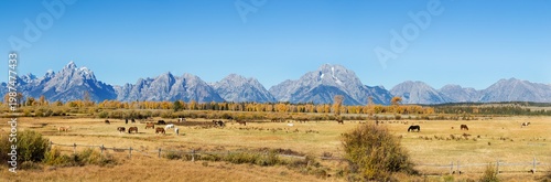 фотографія 67545-09011 Horses and Grand Teton Mountain Range in fall,  Grand Teton National