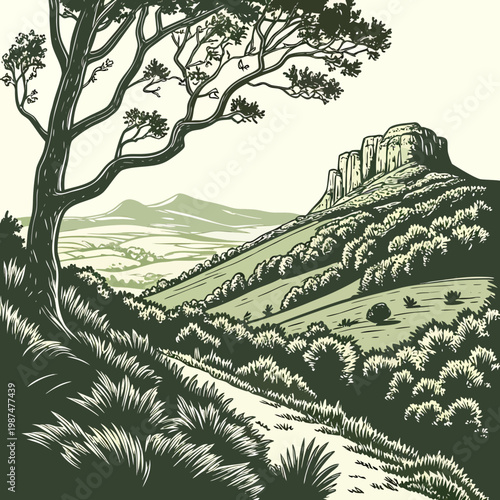 A tree on a hillside with a rocky outcropping in the background, landscape illustration