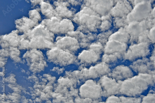 Tableau sur toile Altocumulus clouds are the most common clouds in the middle atmosphere