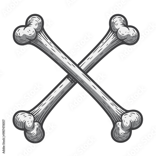 Two Crossbones Drawn In A Vintage Style With Hatching And Shading On A White Background Keywords: crossbones, bones, skull and crossbones, danger