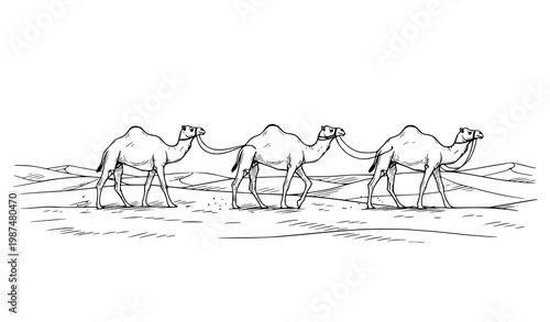 Minimal Camel Caravan Desert Dune Hand Drawn Sketch Vector Illustration