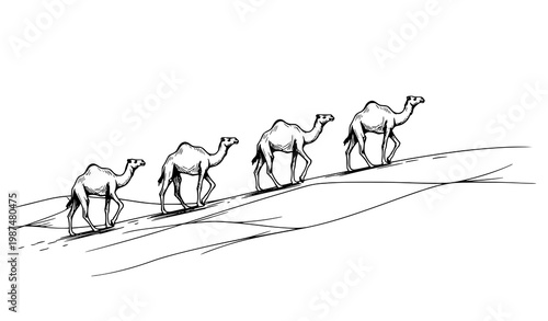 SEO Title:
Retro Desert Camel Caravan Hand Drawn Sketch Vector Illustration for Travel Design