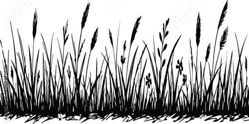 Fresh green grass blades and spring plants isolated on a white background create a natural meadow texture representing growth and environmental freshness