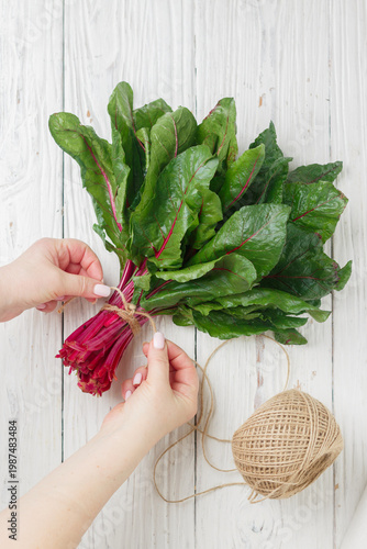 Fresh organic chard on a wooden background, Sweet beet leafs (mangold) . Women's hands make a bunch of greenery. Selective focus