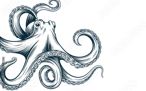 Hand-drawn black and white octopus illustration with intricate tentacle details for creative design