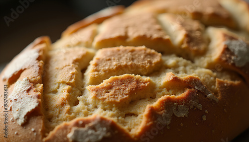 Freshly baked artisan bread with crispy scored crust