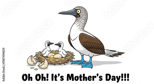 Cartoon illustration of a bluefooted booby bird mother with her chicks in a nest