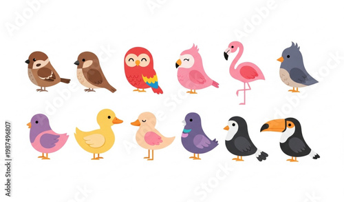 Cute bird vector set with colorful small birds in flat minimal style isolated on white background