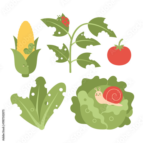 Garden Pests: Caterpillar, Snail, Ladybug on Damaged Plants