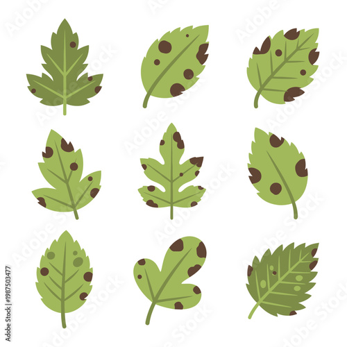 Collection of Green Leaves with Brown Spots - Plant Disease Vector Icons