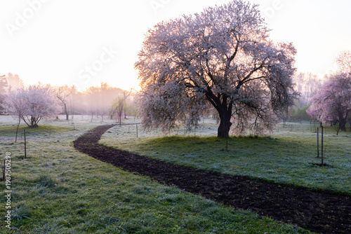 Wallpaper Mural Spring Landscape of Grădina Botanică din Chișinău – Blooming Flowers, Lush Green Park, Urban Nature Oasis, Scenic Botanical Garden in Moldova Capital, Peaceful City Park in Springtime Torontodigital.ca